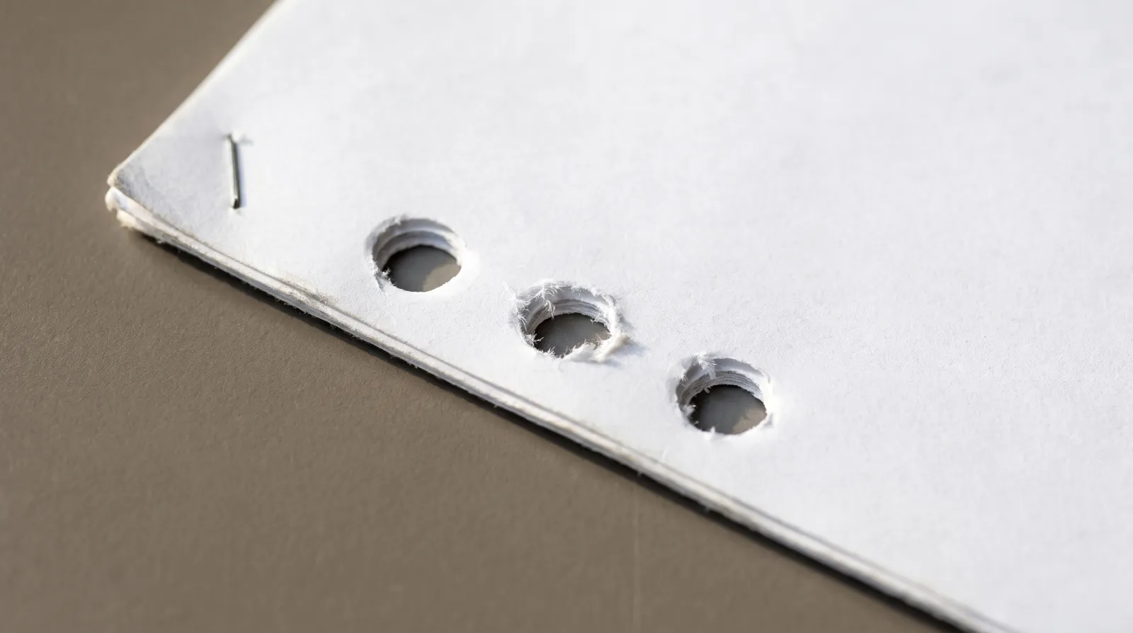 Illustrative close view of three punched holes and a staple in a blank filed document